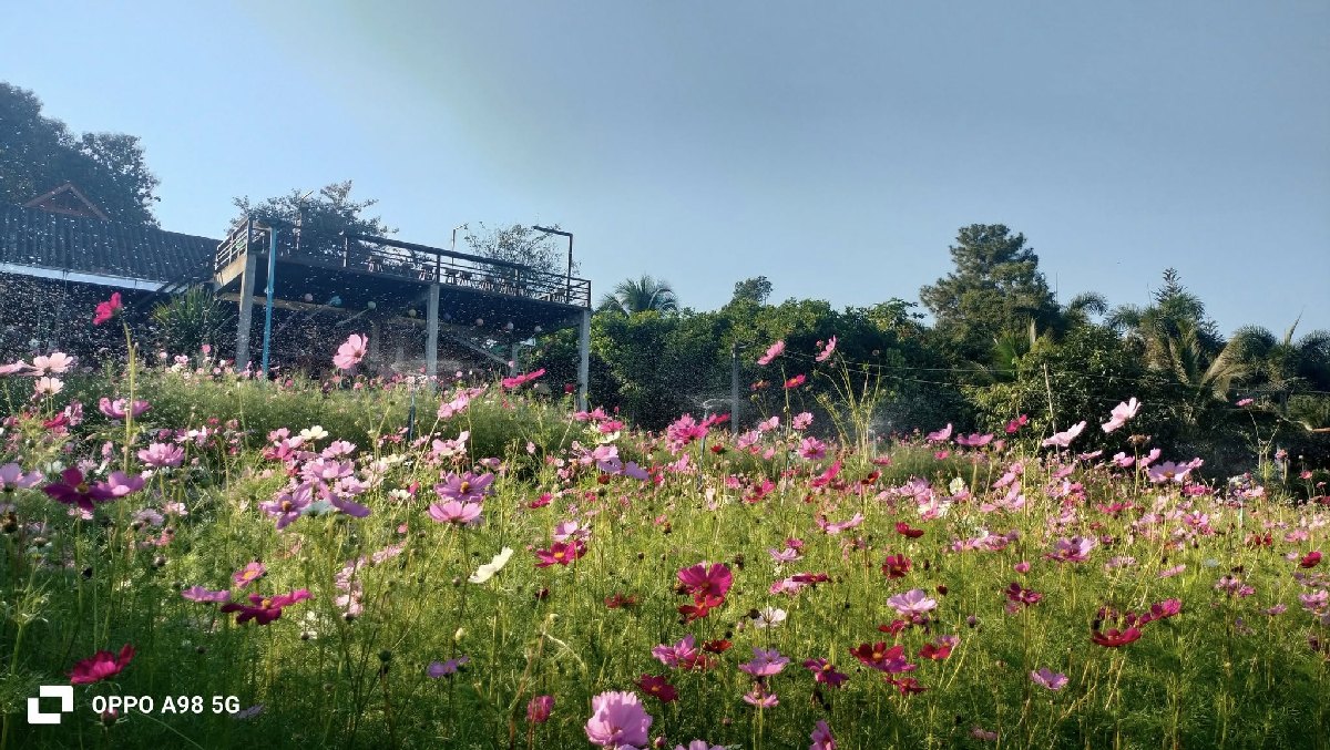 ภาพบรรยากาศ 10